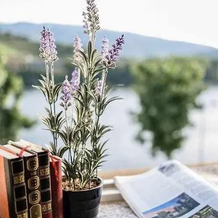 Maison d'hôtes Casa Do Rio Peso da Régua