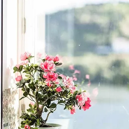 Guest house Casa Do Rio Peso da Regua