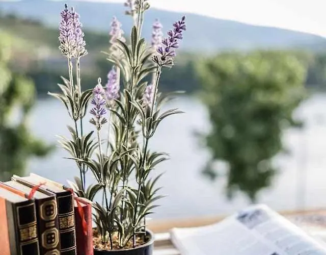 ゲストハウス Casa Do Rio ペーゾ・ダ・レーグア