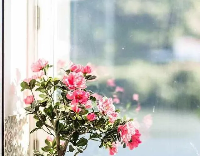 Casa Do Rio ゲストハウス